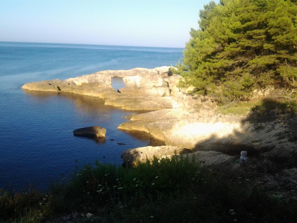 Guest House Aldin Ούλτσιν Εξωτερικό φωτογραφία