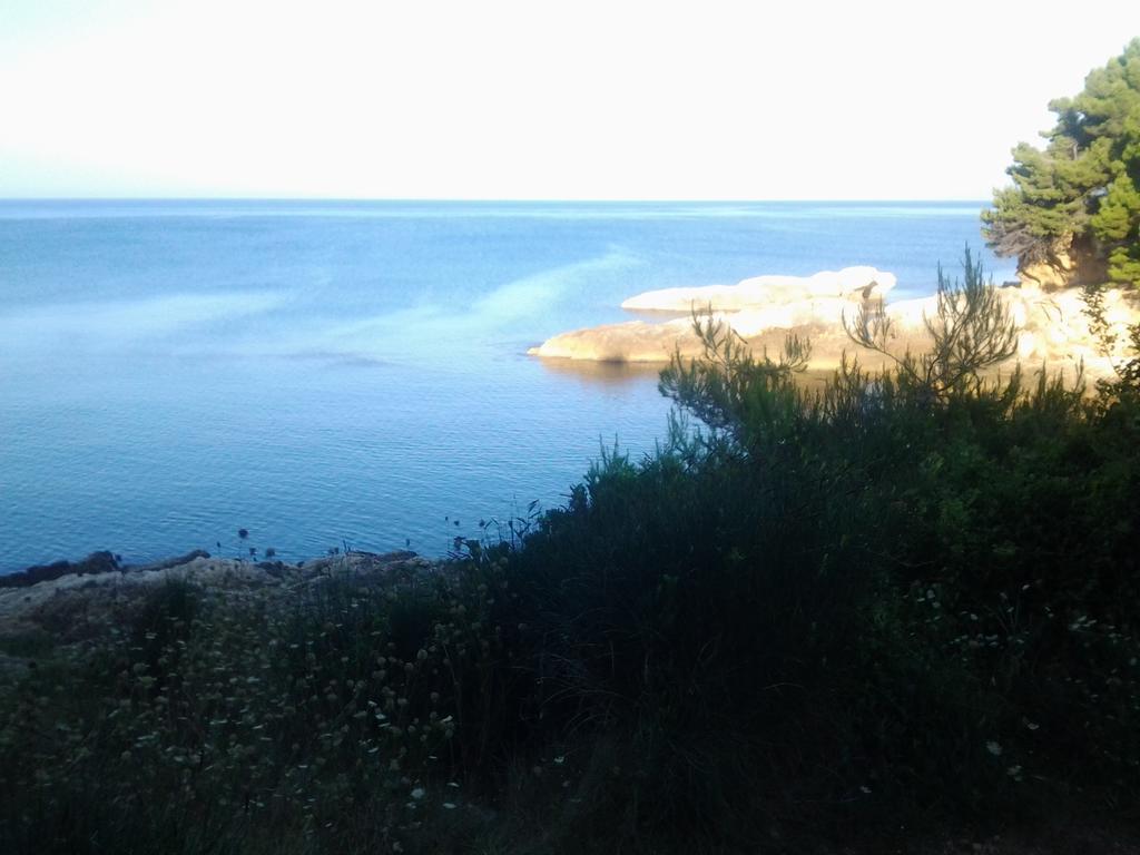 Guest House Aldin Ούλτσιν Εξωτερικό φωτογραφία